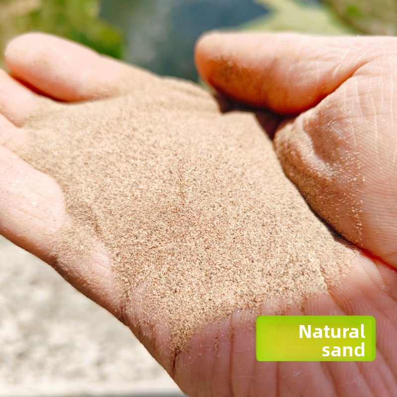 Reptile Sand Calcium Sand for  - Calcium Powder Reptile 评论和价格