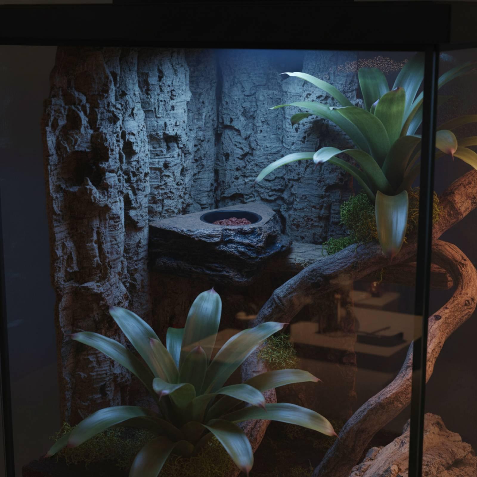 Gecko Food and Water Shelf Adj - Water Dish Reptile 评论和价格