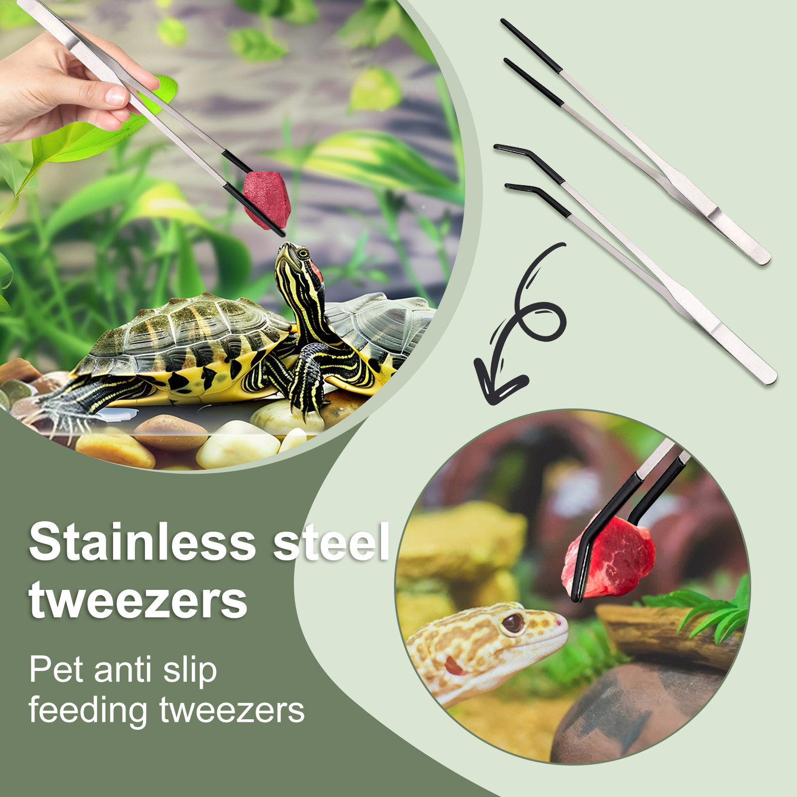 Stainless Steel Reptile Feedin - Water Dish Reptile 评论和价格