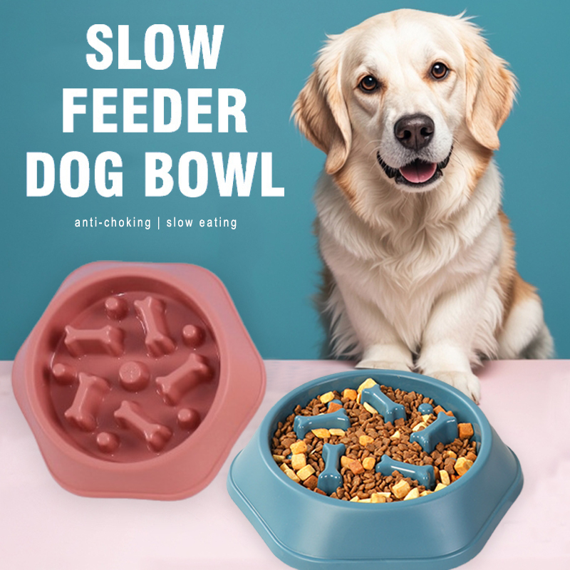 Slow Feeder Dog Bowl Anti-chok - Royal Canin Food Medium 评论和价格