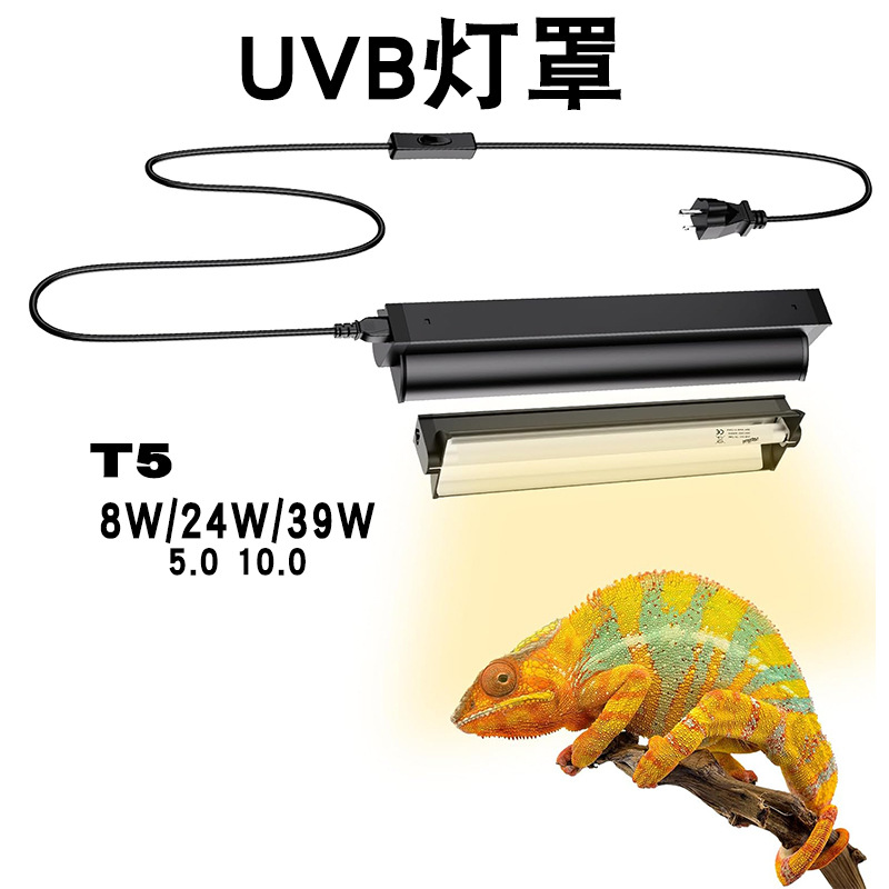 T5 UVB Tube With Integrated Fi - Calcium Powder Reptile 评论和价格