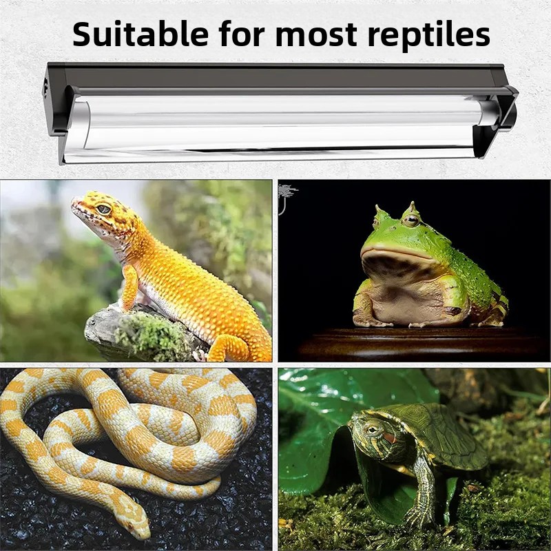 T5 UVB Tube With Integrated Fi - Calcium Powder Reptile 评论和价格