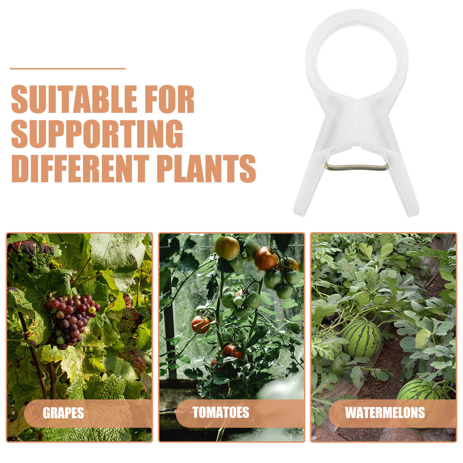 100Pcs Plastic Plant Clips for - Vine Climbing Plastic 评论和价格